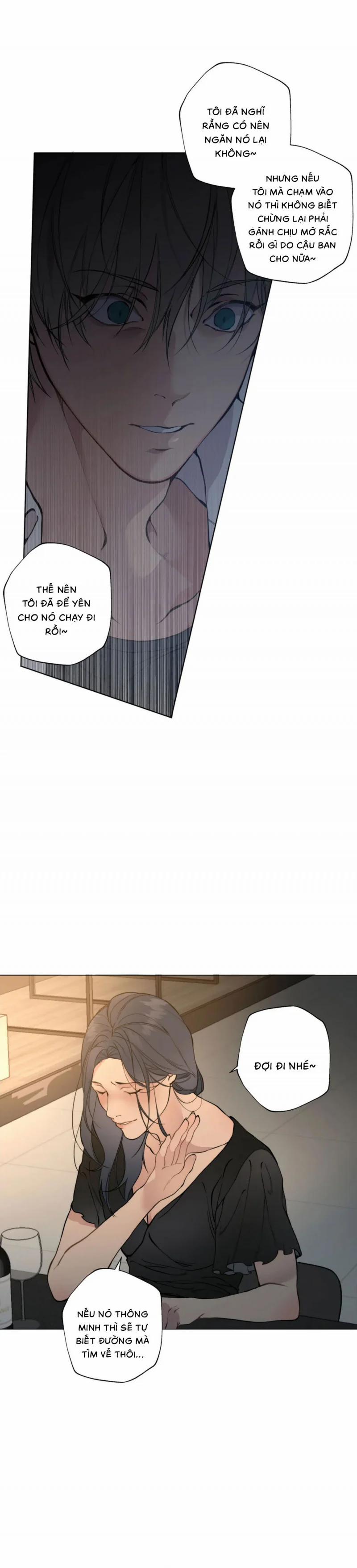 Lạc Giữa Những Tầng Mây 39 trang 10