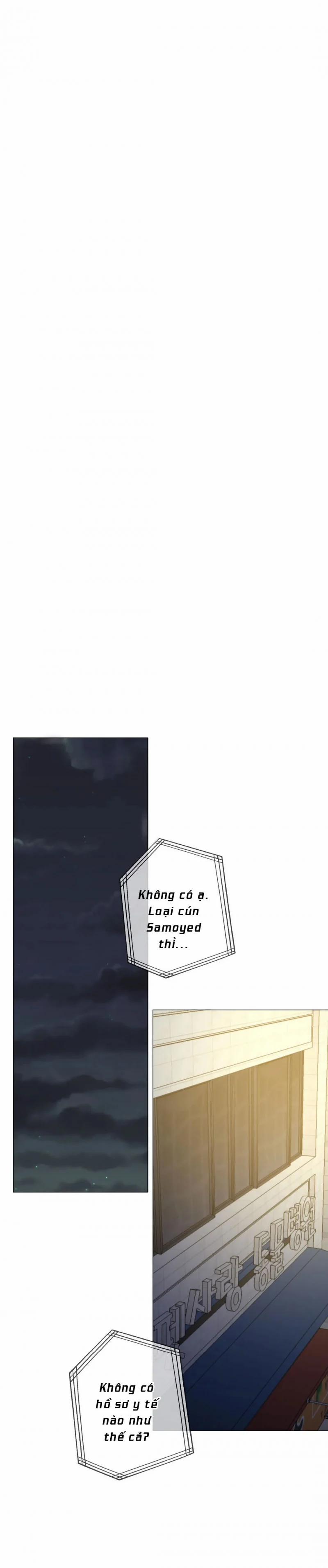 Lạc Giữa Những Tầng Mây 40 trang 0