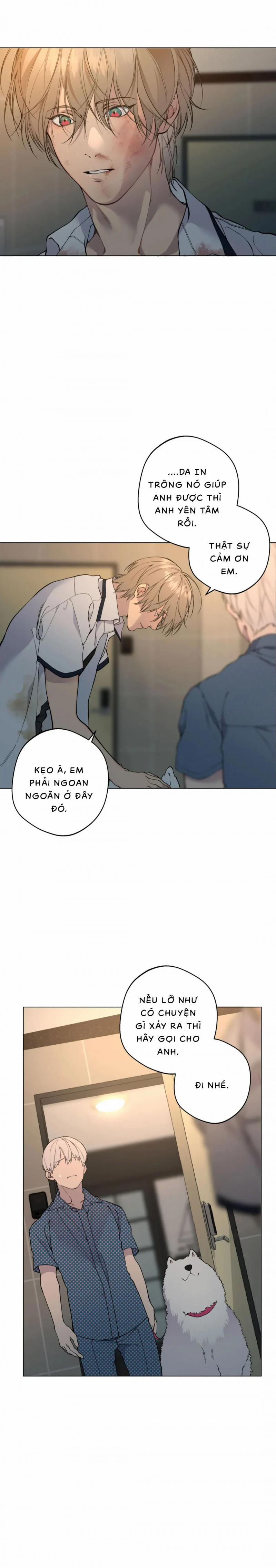 Lạc Giữa Những Tầng Mây 40 trang 17