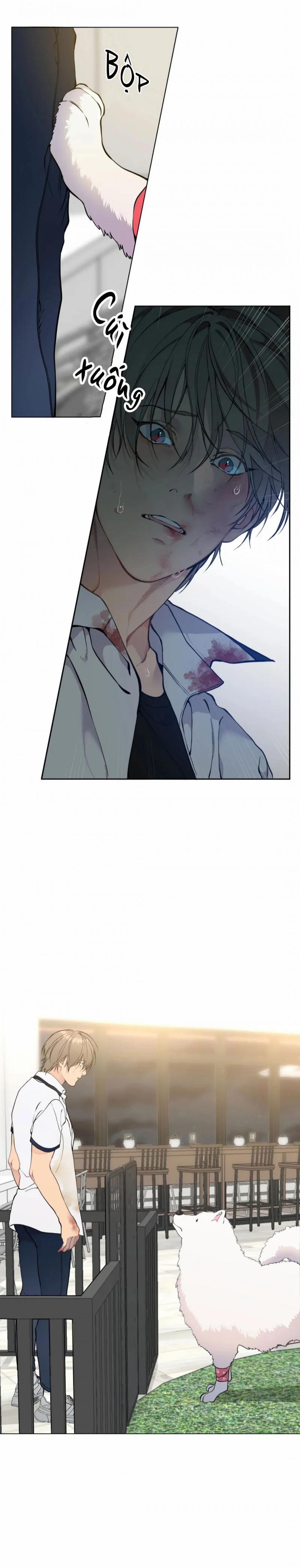 Lạc Giữa Những Tầng Mây 40 trang 4