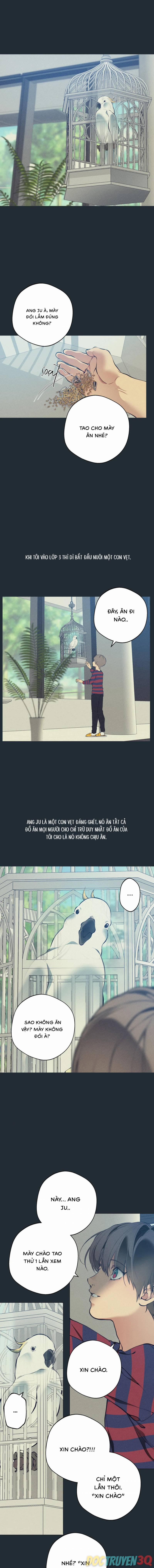 Lạc Giữa Những Tầng Mây 77 trang 10