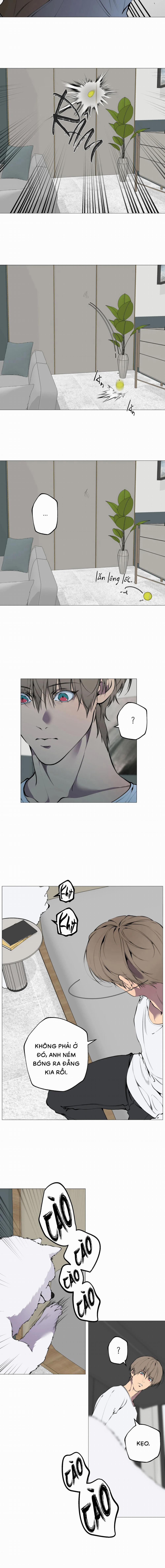 Lạc Giữa Những Tầng Mây 84 trang 5