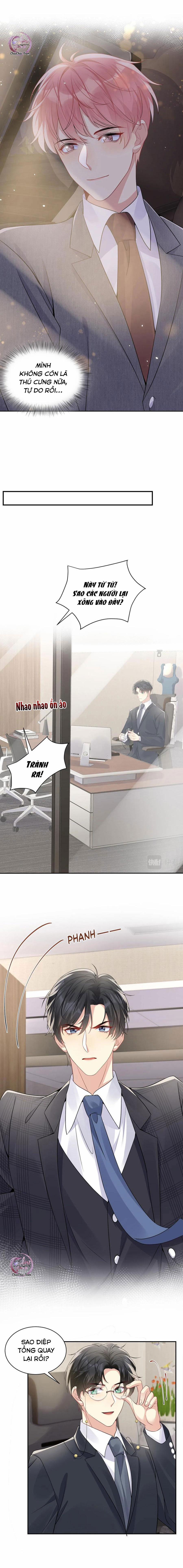 Lại Bị Bạn Trai Cũ Nhắm Trúng Rồi 48 trang 6