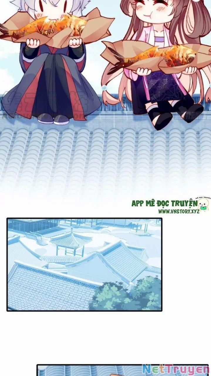 Lại Bị Bệnh Chiều Chuộng Quấn Lấy 0 Ai không phải kẻ cuồng tóc trắng? trang 12