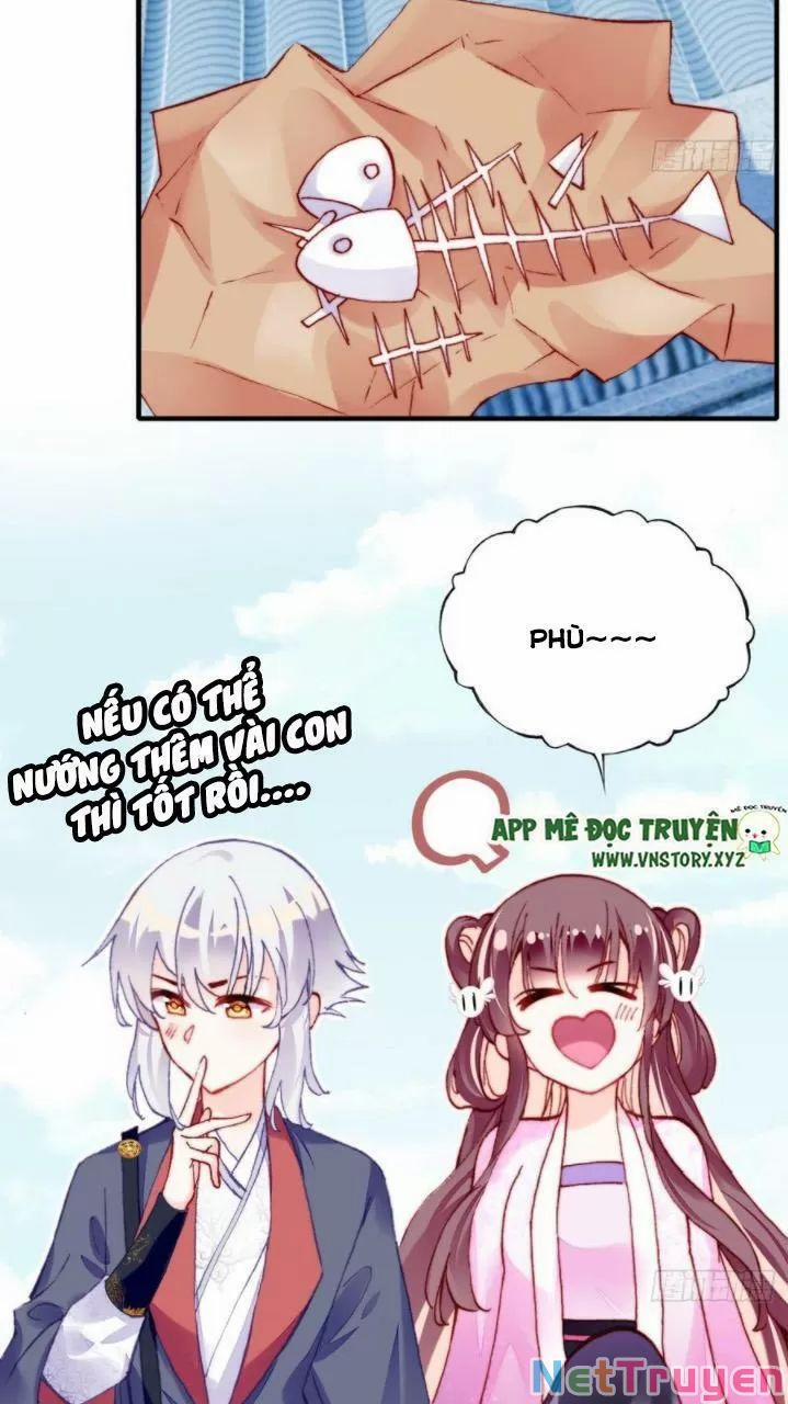 Lại Bị Bệnh Chiều Chuộng Quấn Lấy 0 Ai không phải kẻ cuồng tóc trắng? trang 13