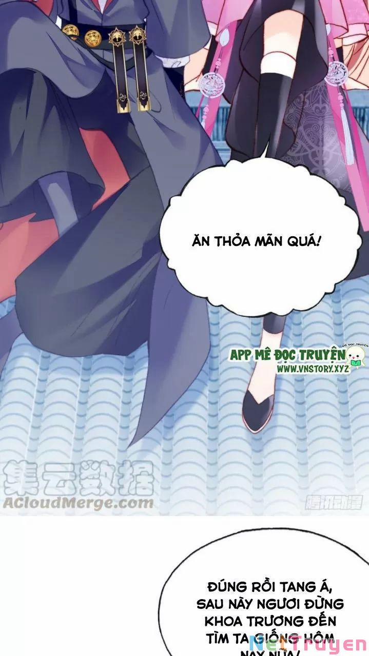 Lại Bị Bệnh Chiều Chuộng Quấn Lấy 0 Ai không phải kẻ cuồng tóc trắng? trang 14