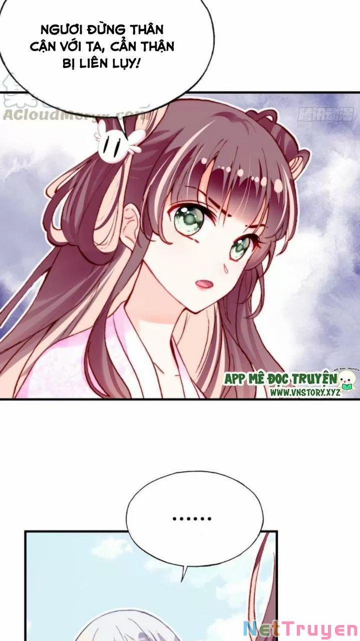 Lại Bị Bệnh Chiều Chuộng Quấn Lấy 0 Ai không phải kẻ cuồng tóc trắng? trang 17