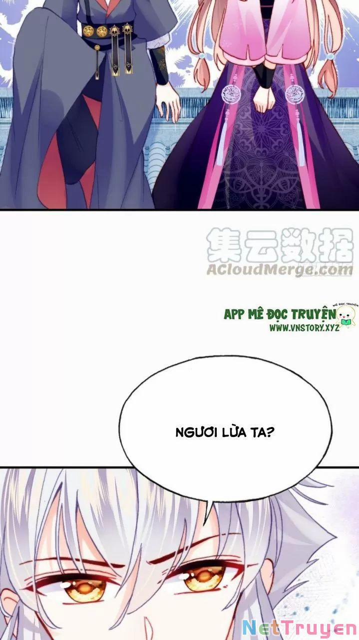 Lại Bị Bệnh Chiều Chuộng Quấn Lấy 0 Ai không phải kẻ cuồng tóc trắng? trang 20