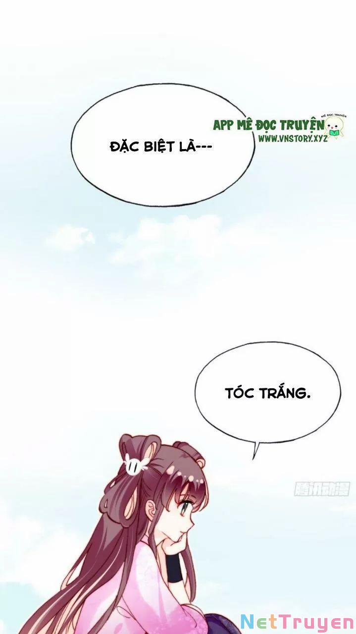 Lại Bị Bệnh Chiều Chuộng Quấn Lấy 0 Ai không phải kẻ cuồng tóc trắng? trang 27