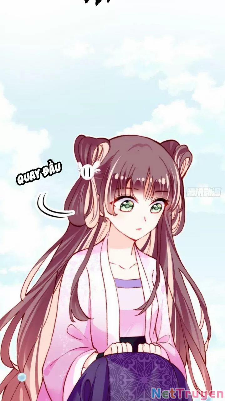 Lại Bị Bệnh Chiều Chuộng Quấn Lấy 0 Ai không phải kẻ cuồng tóc trắng? trang 31