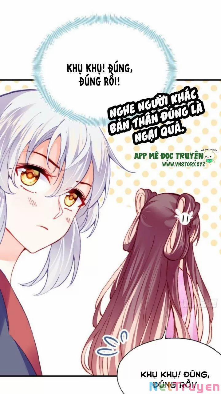 Lại Bị Bệnh Chiều Chuộng Quấn Lấy 0 Ai không phải kẻ cuồng tóc trắng? trang 35