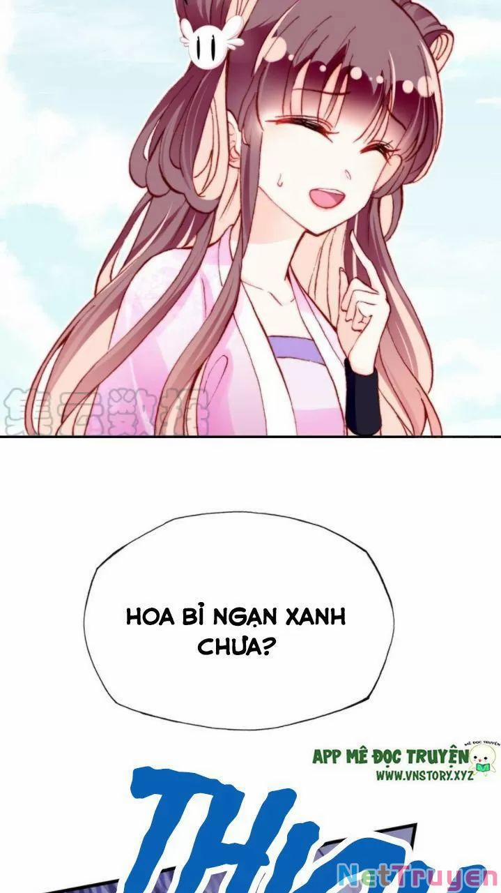 Lại Bị Bệnh Chiều Chuộng Quấn Lấy 0 Ai không phải kẻ cuồng tóc trắng? trang 37