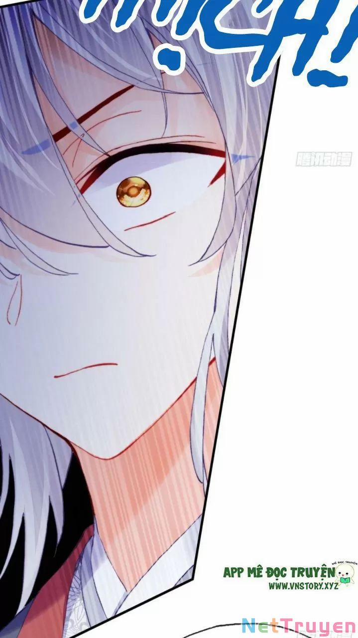 Lại Bị Bệnh Chiều Chuộng Quấn Lấy 0 Ai không phải kẻ cuồng tóc trắng? trang 38