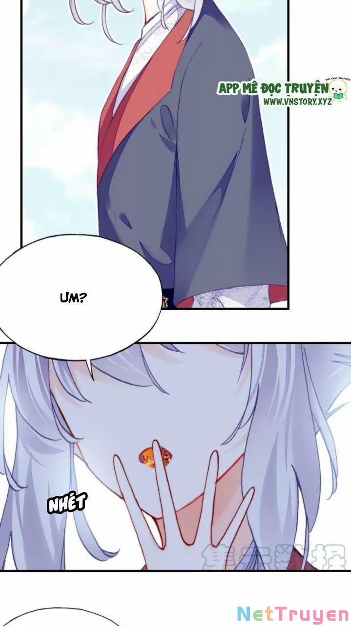 Lại Bị Bệnh Chiều Chuộng Quấn Lấy 0 Ai không phải kẻ cuồng tóc trắng? trang 4