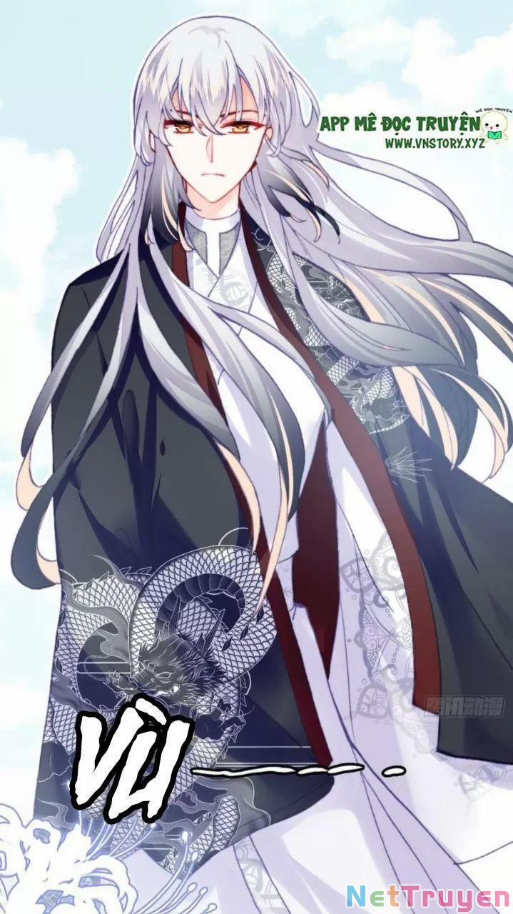 Lại Bị Bệnh Chiều Chuộng Quấn Lấy 0 Ai không phải kẻ cuồng tóc trắng? trang 50