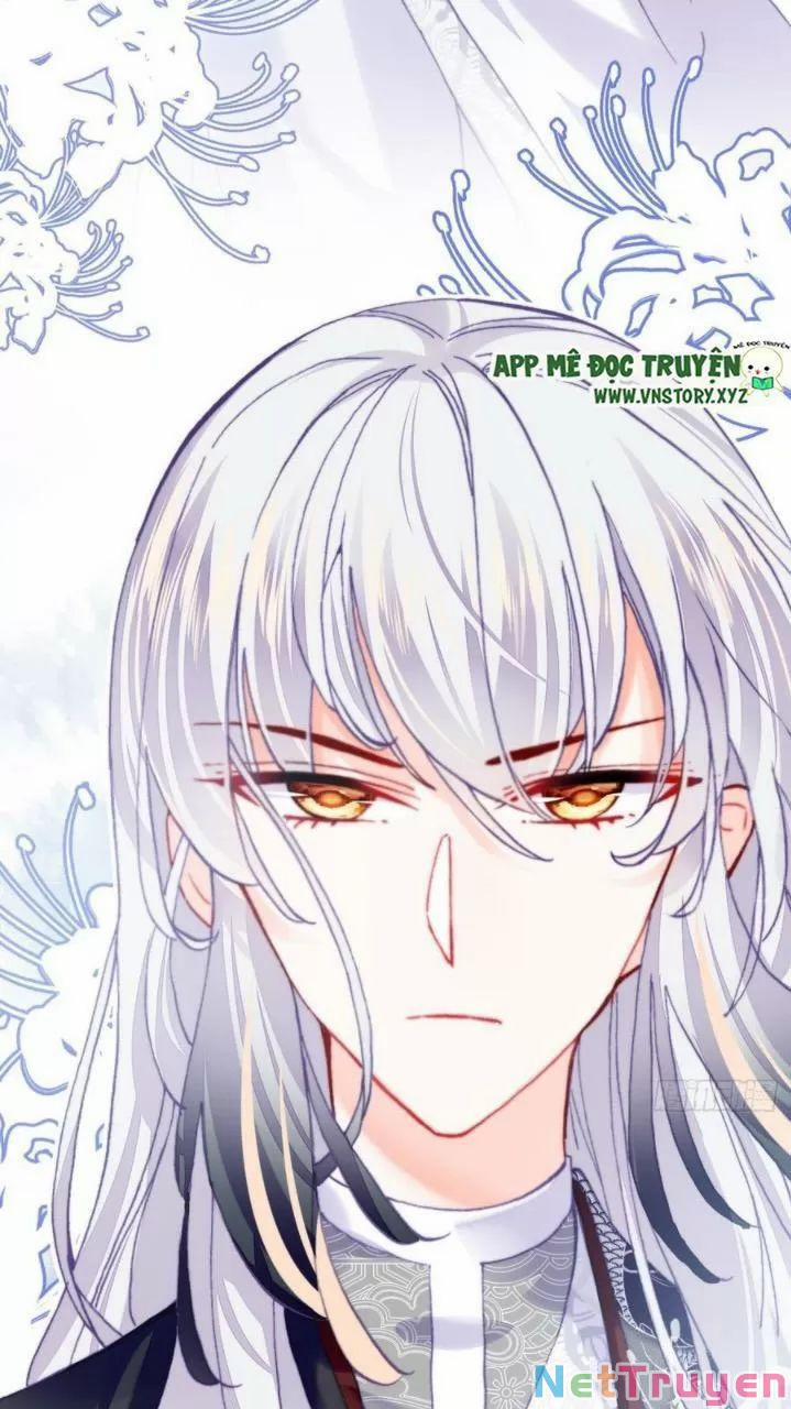 Lại Bị Bệnh Chiều Chuộng Quấn Lấy 0 Ai không phải kẻ cuồng tóc trắng? trang 51