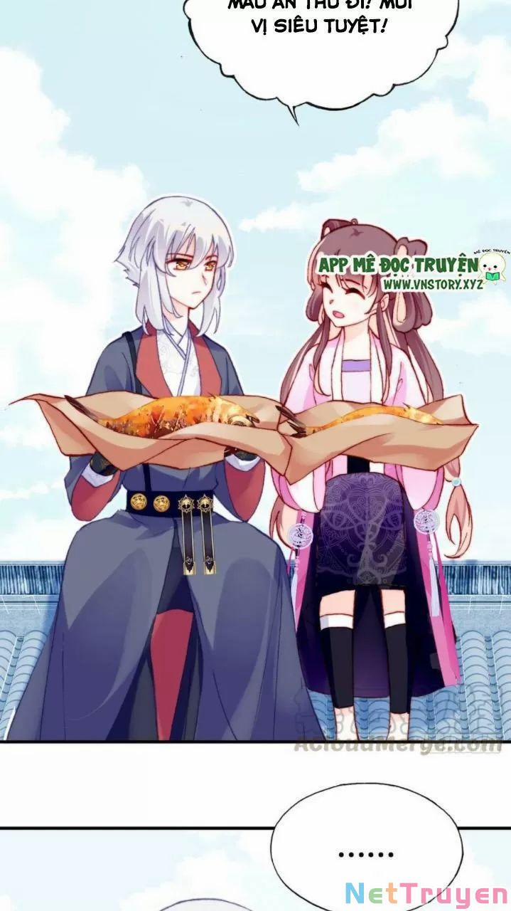 Lại Bị Bệnh Chiều Chuộng Quấn Lấy 0 Ai không phải kẻ cuồng tóc trắng? trang 7