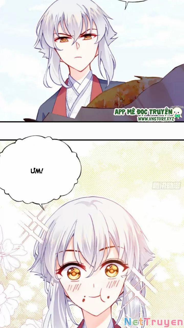 Lại Bị Bệnh Chiều Chuộng Quấn Lấy 0 Ai không phải kẻ cuồng tóc trắng? trang 8