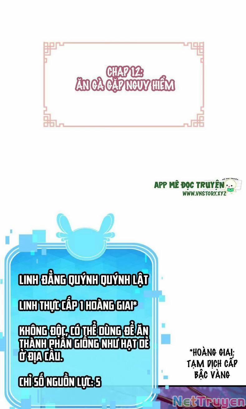 Lại Bị Bệnh Chiều Chuộng Quấn Lấy 0 Ăn gà gặp nguy hiểm trang 1