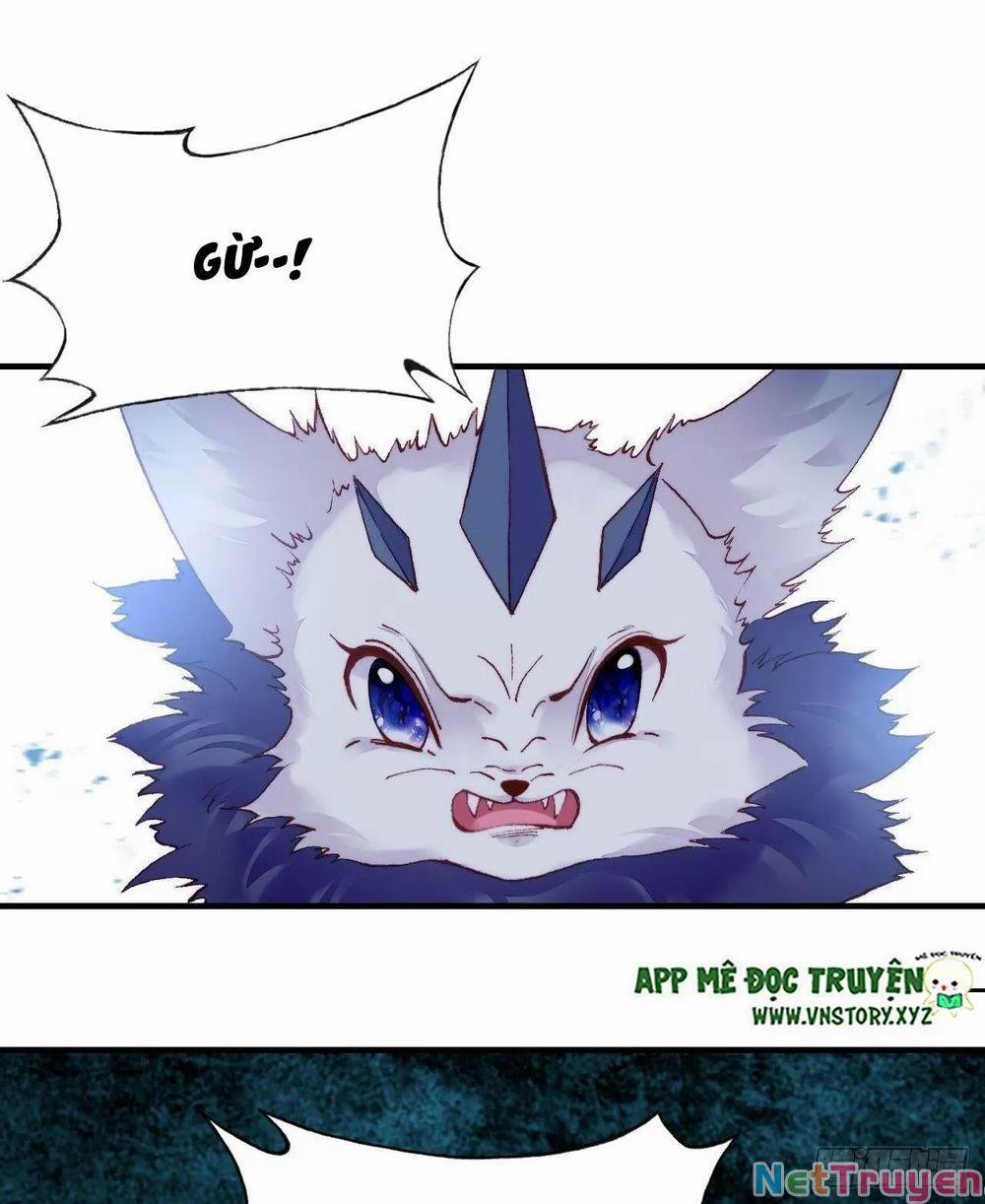 Lại Bị Bệnh Chiều Chuộng Quấn Lấy 0 Bánh gạo không đơn giản trang 20