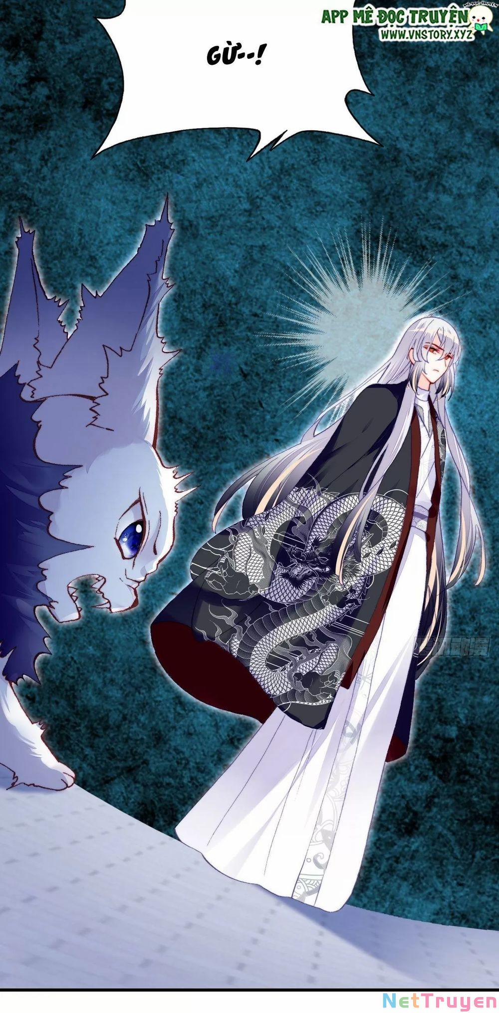 Lại Bị Bệnh Chiều Chuộng Quấn Lấy 0 Bánh gạo không đơn giản trang 21