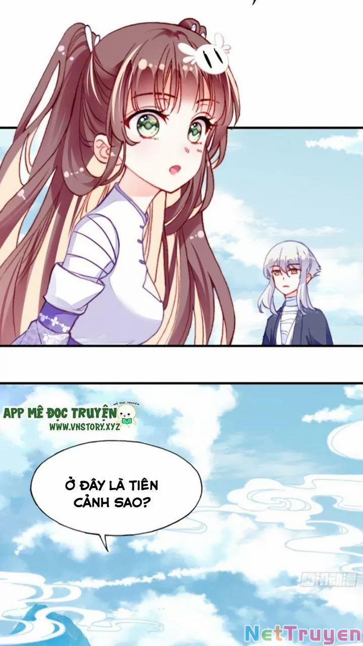 Lại Bị Bệnh Chiều Chuộng Quấn Lấy 0 Bia đá không chữ trang 13