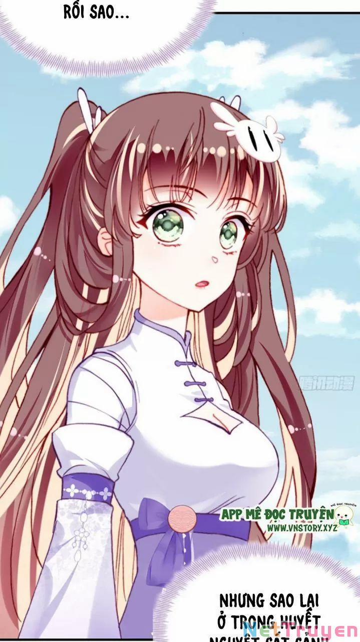 Lại Bị Bệnh Chiều Chuộng Quấn Lấy 0 Bia đá không chữ trang 18