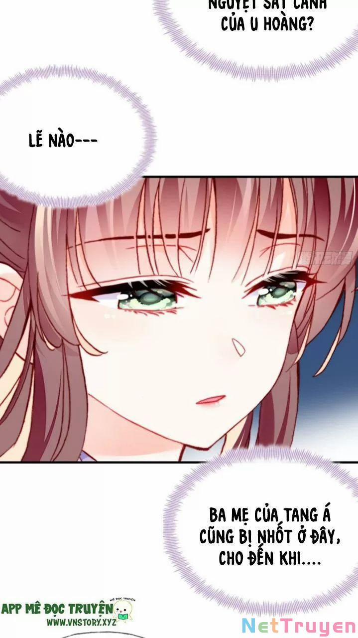 Lại Bị Bệnh Chiều Chuộng Quấn Lấy 0 Bia đá không chữ trang 19