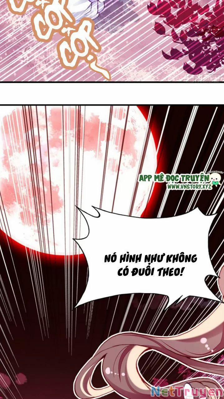 Lại Bị Bệnh Chiều Chuộng Quấn Lấy 0 Bia đá không chữ trang 2