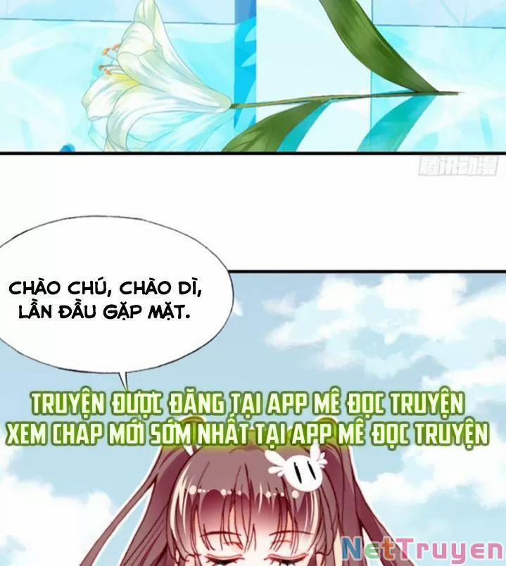 Lại Bị Bệnh Chiều Chuộng Quấn Lấy 0 Bia đá không chữ trang 21