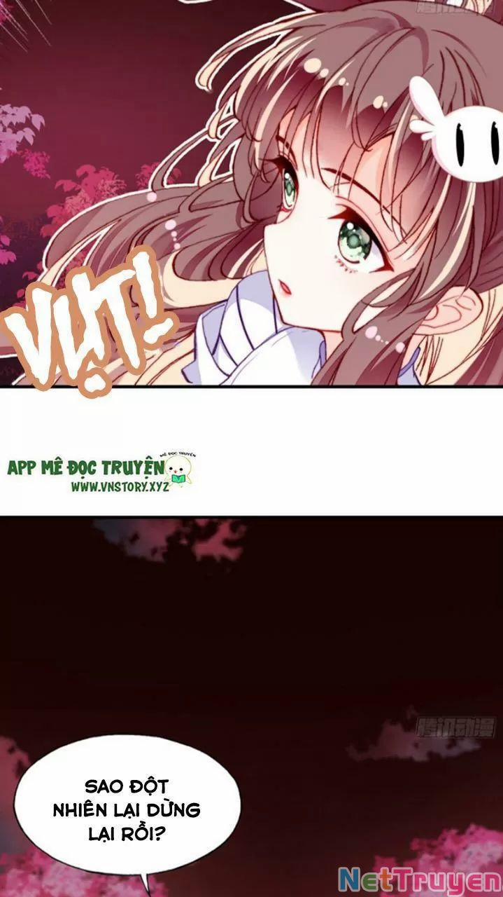 Lại Bị Bệnh Chiều Chuộng Quấn Lấy 0 Bia đá không chữ trang 3