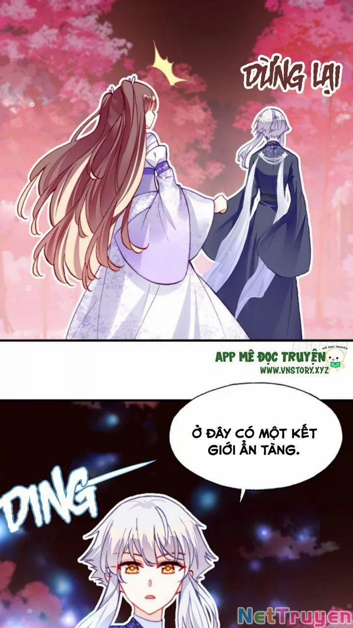 Lại Bị Bệnh Chiều Chuộng Quấn Lấy 0 Bia đá không chữ trang 4