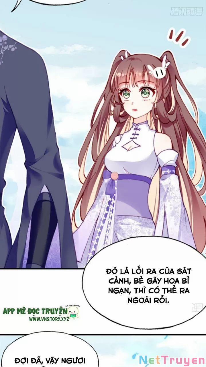 Lại Bị Bệnh Chiều Chuộng Quấn Lấy 0 Bia đá không chữ trang 40