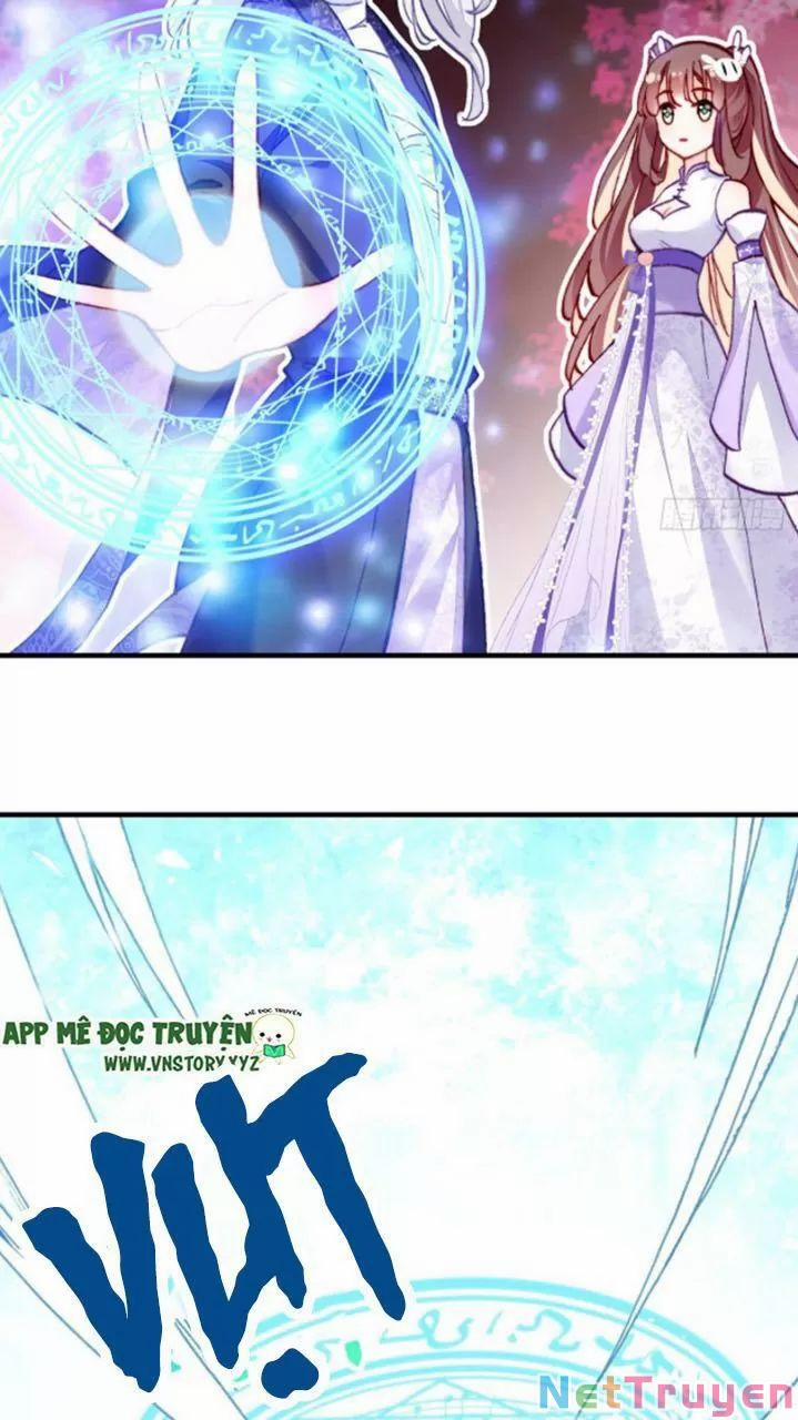 Lại Bị Bệnh Chiều Chuộng Quấn Lấy 0 Bia đá không chữ trang 5