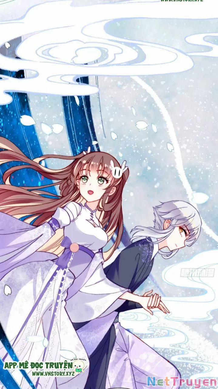 Lại Bị Bệnh Chiều Chuộng Quấn Lấy 0 Bia đá không chữ trang 9