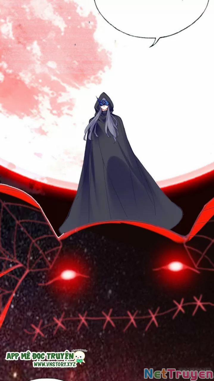 Lại Bị Bệnh Chiều Chuộng Quấn Lấy 0 Ca ca? trang 14