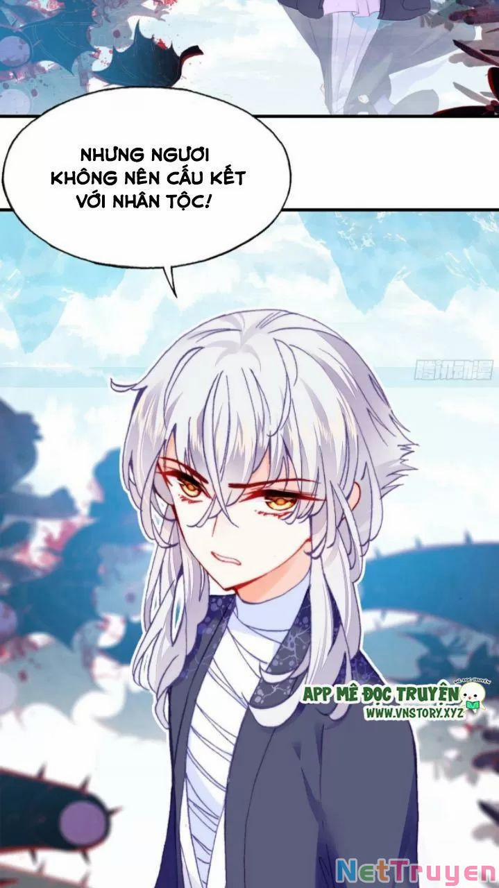 Lại Bị Bệnh Chiều Chuộng Quấn Lấy 0 Ca ca? trang 25