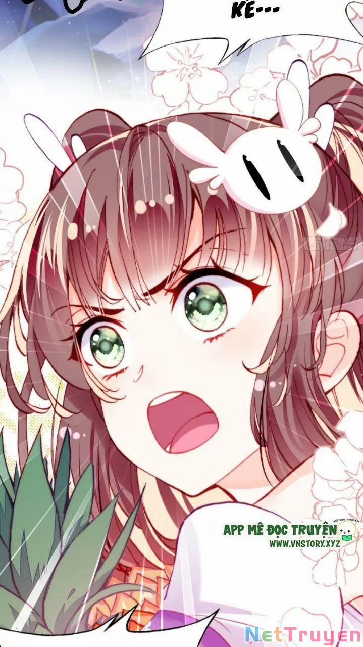 Lại Bị Bệnh Chiều Chuộng Quấn Lấy 0 Ca ca? trang 37