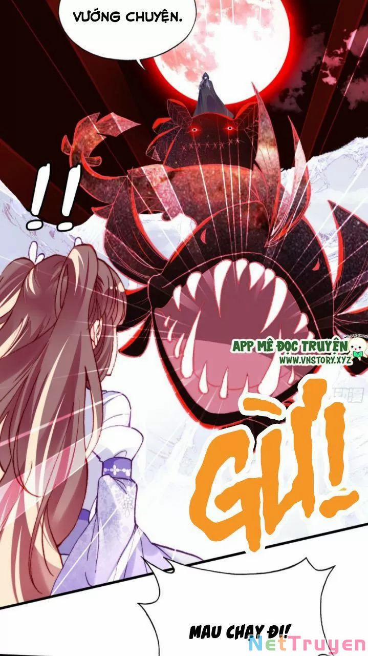 Lại Bị Bệnh Chiều Chuộng Quấn Lấy 0 Ca ca? trang 48