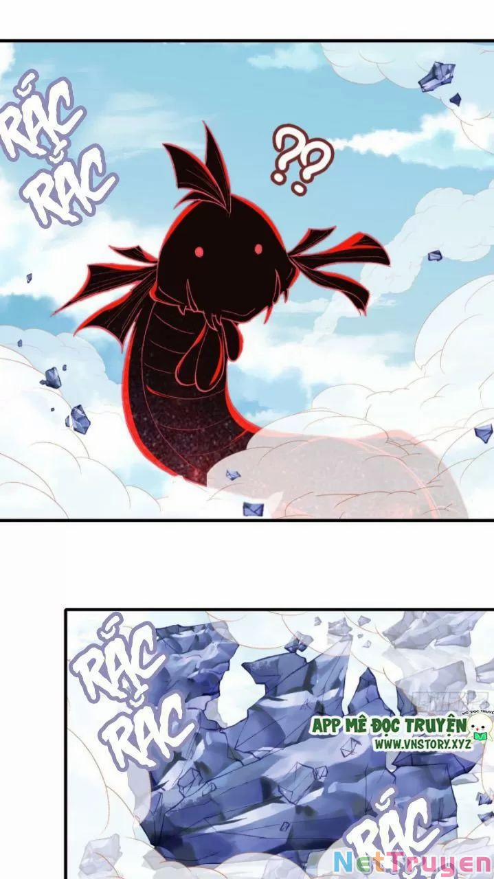 Lại Bị Bệnh Chiều Chuộng Quấn Lấy 0 Ca ca? trang 52