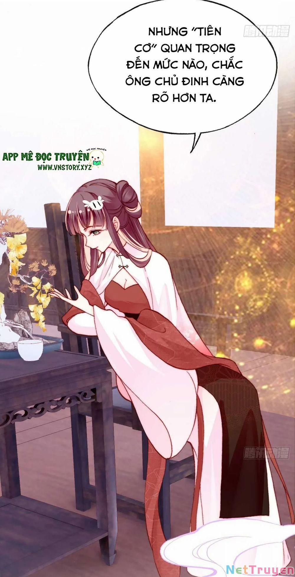 Lại Bị Bệnh Chiều Chuộng Quấn Lấy 0 Cạm bẫy trang 10