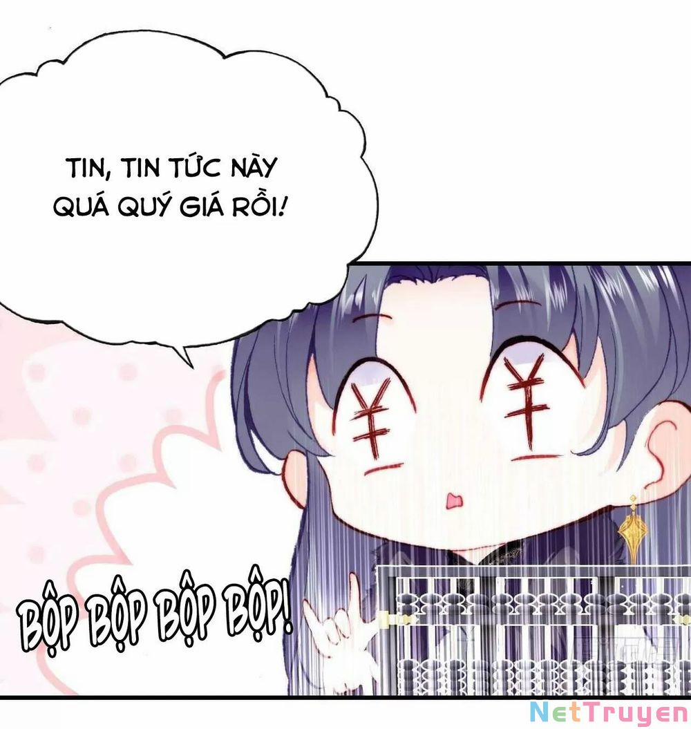 Lại Bị Bệnh Chiều Chuộng Quấn Lấy 0 Cạm bẫy trang 14