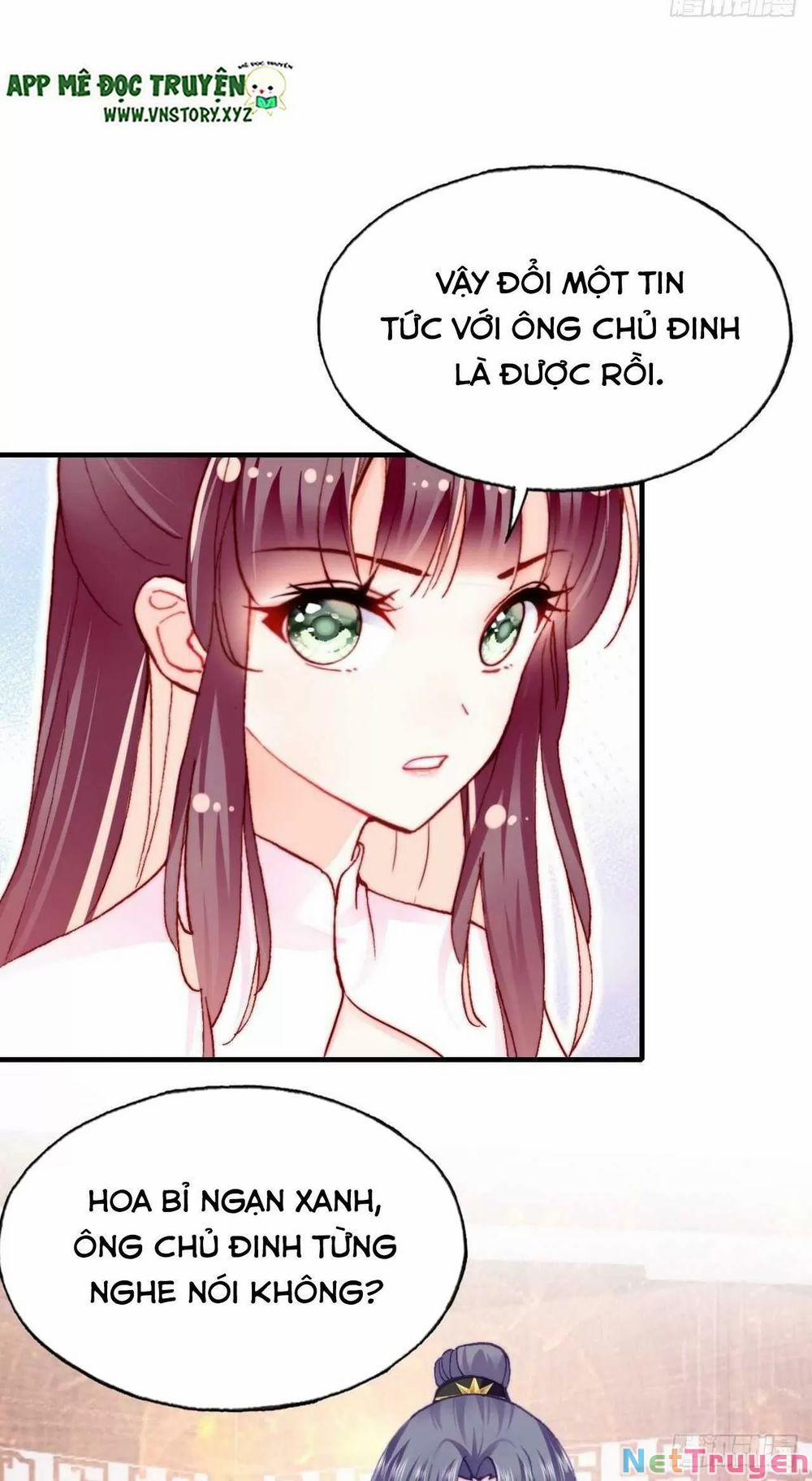 Lại Bị Bệnh Chiều Chuộng Quấn Lấy 0 Cạm bẫy trang 16