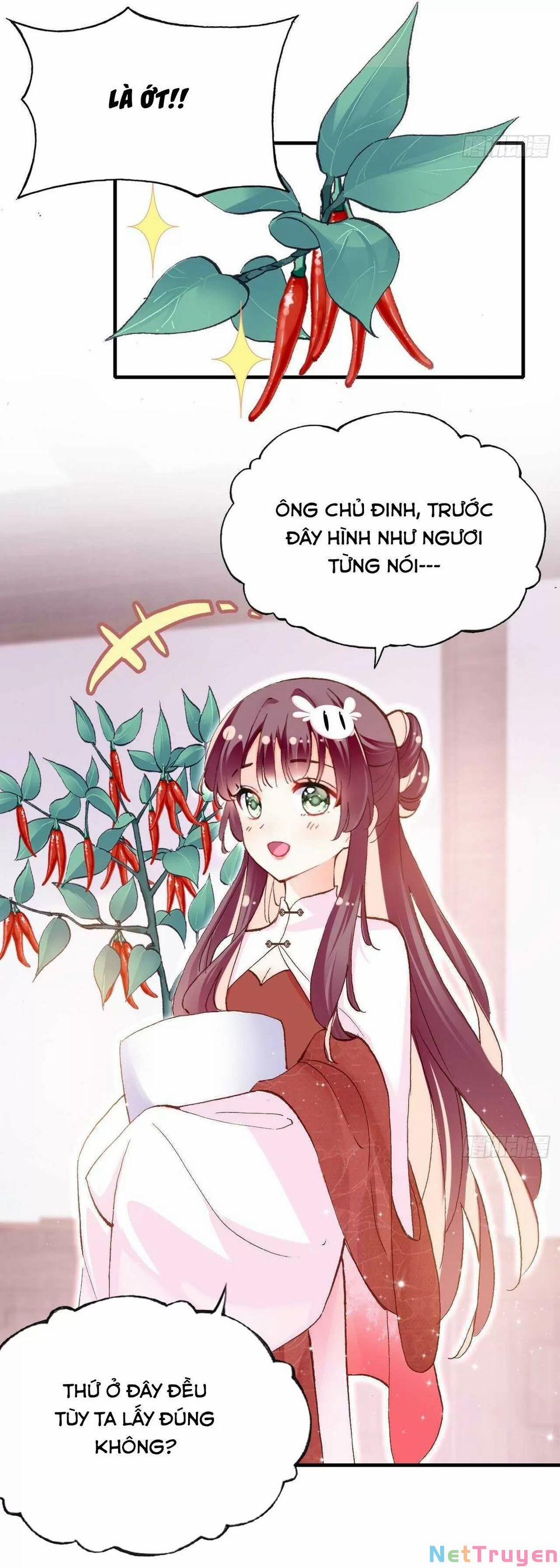 Lại Bị Bệnh Chiều Chuộng Quấn Lấy 0 Cạm bẫy trang 23