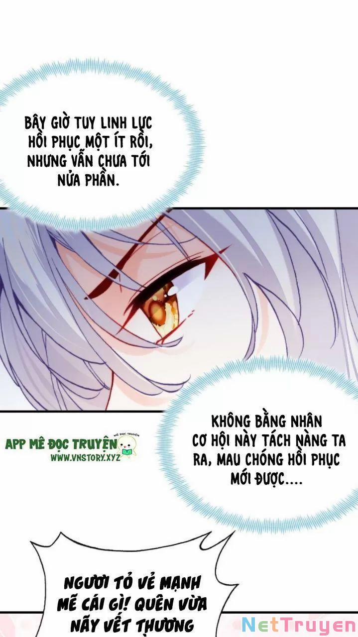 Lại Bị Bệnh Chiều Chuộng Quấn Lấy 0 Dị biến trang 24