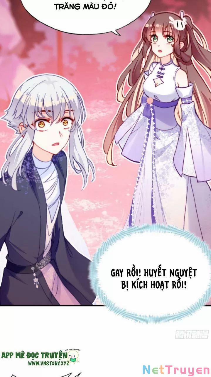 Lại Bị Bệnh Chiều Chuộng Quấn Lấy 0 Dị biến trang 48