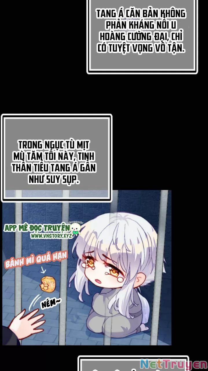 Lại Bị Bệnh Chiều Chuộng Quấn Lấy 0 Dị biến trang 8