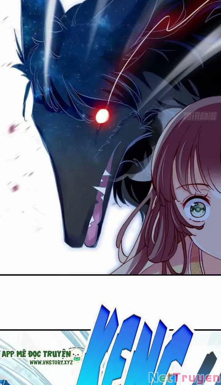 Lại Bị Bệnh Chiều Chuộng Quấn Lấy 0 Gặp nguy hiểm trang 12