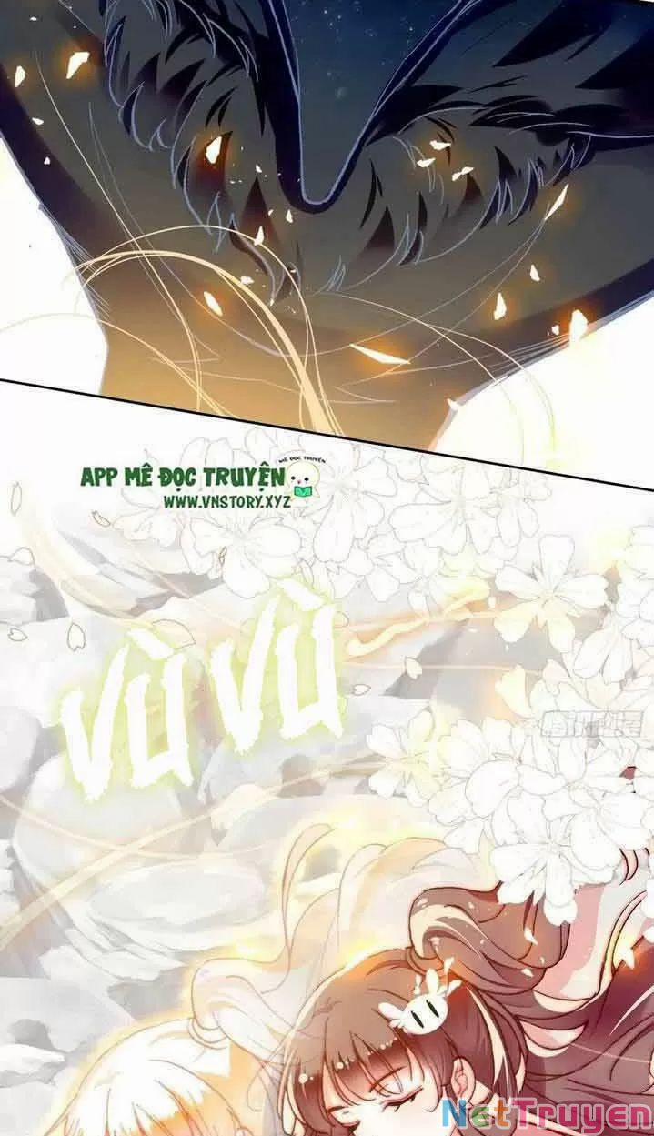 Lại Bị Bệnh Chiều Chuộng Quấn Lấy 0 Gặp nguy hiểm trang 17