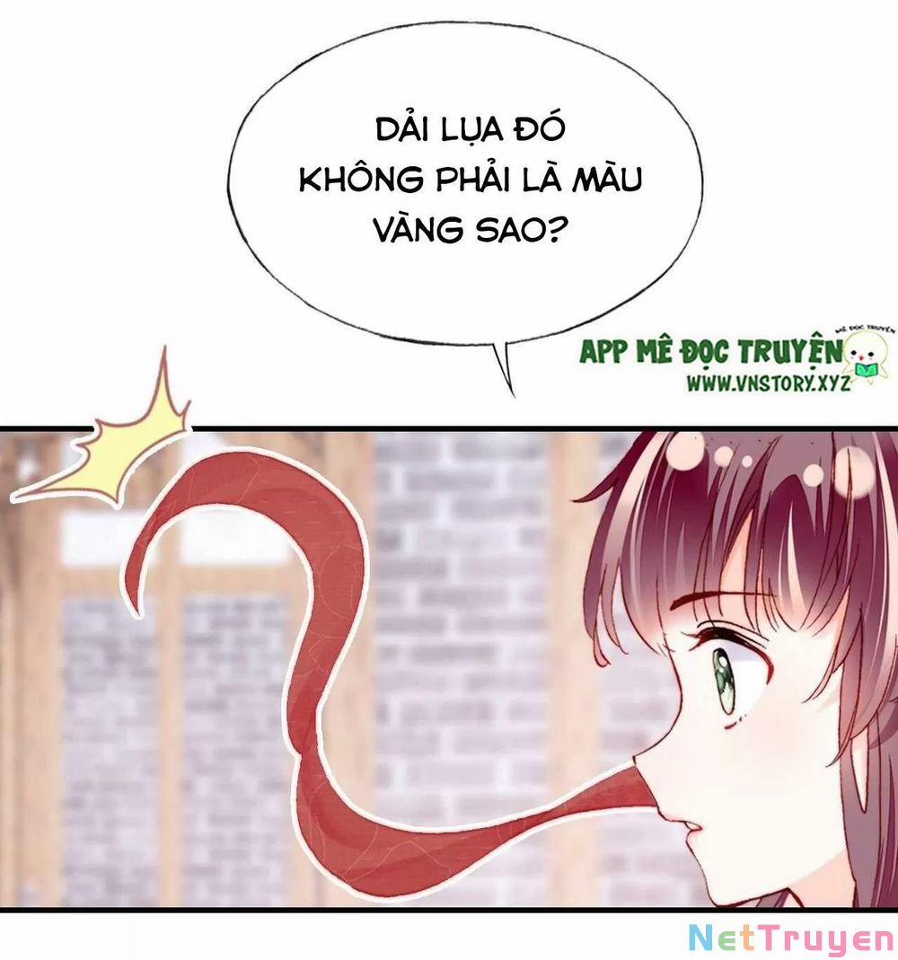 Lại Bị Bệnh Chiều Chuộng Quấn Lấy 0 Giang hồ lừa gạt trang 5